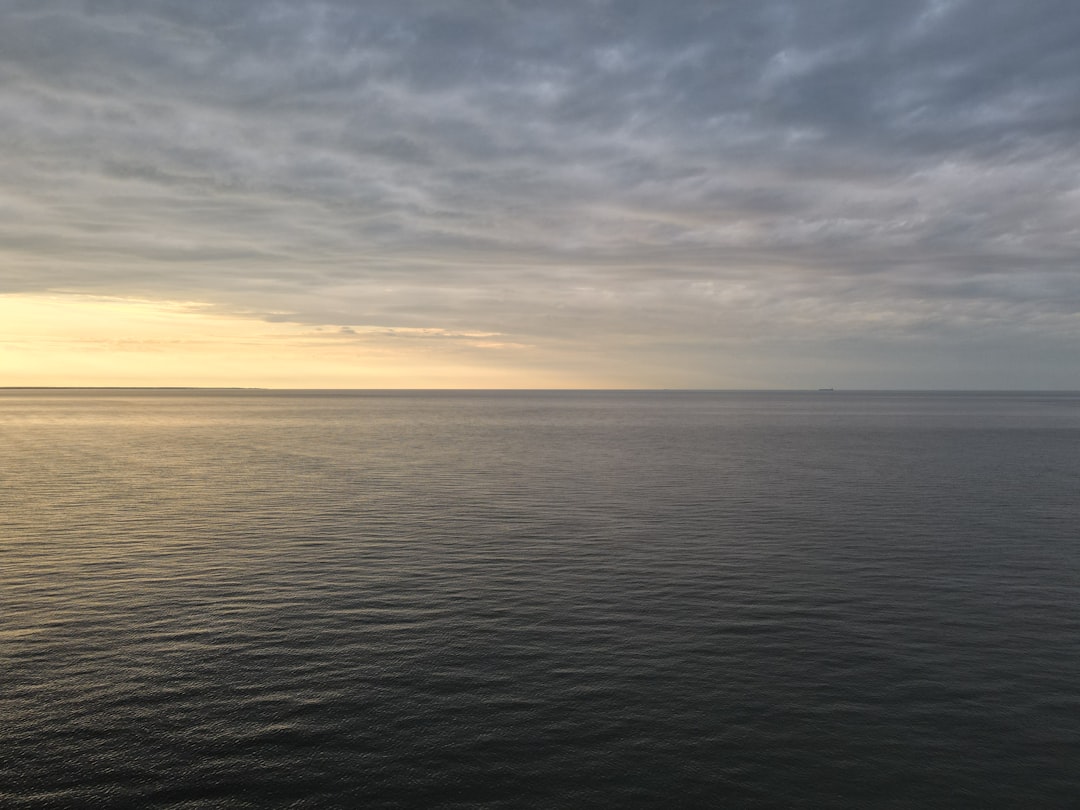 ¿Qué tipo de negocio es rentable?