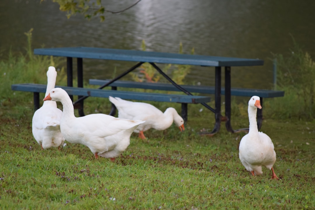 altura de barranquilla sobre el nivel del mar