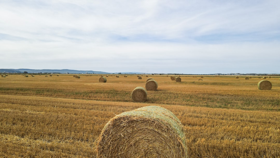 cuanta altura hay en barranquilla