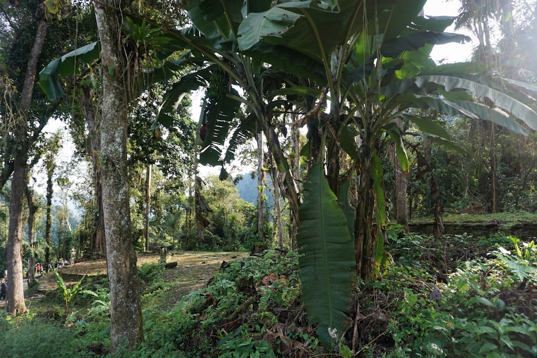 En Dónde Nace el Río Magdalena: Descubre su Origen y Trayectoria