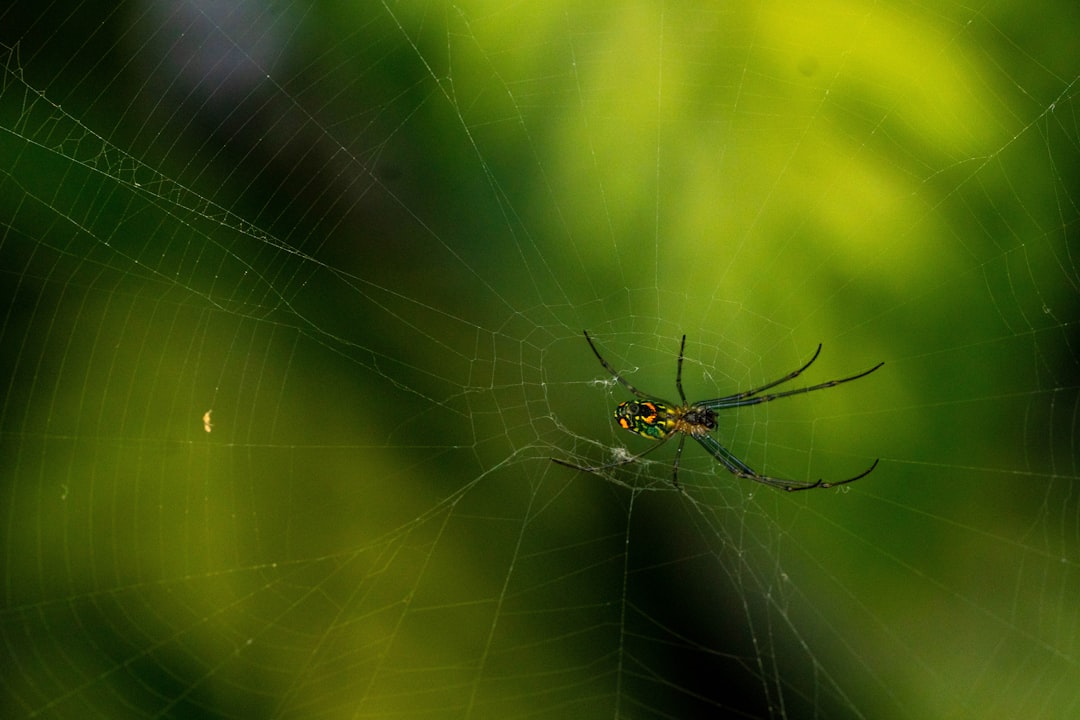 lugar mas frio de antioquia