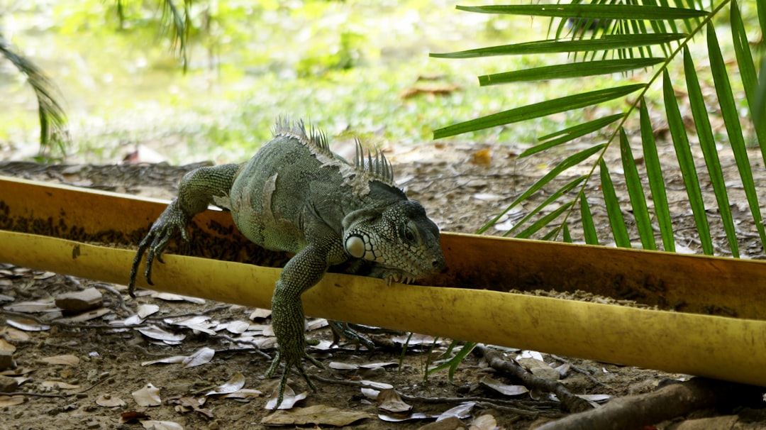 mejores emprendimientos en colombia
