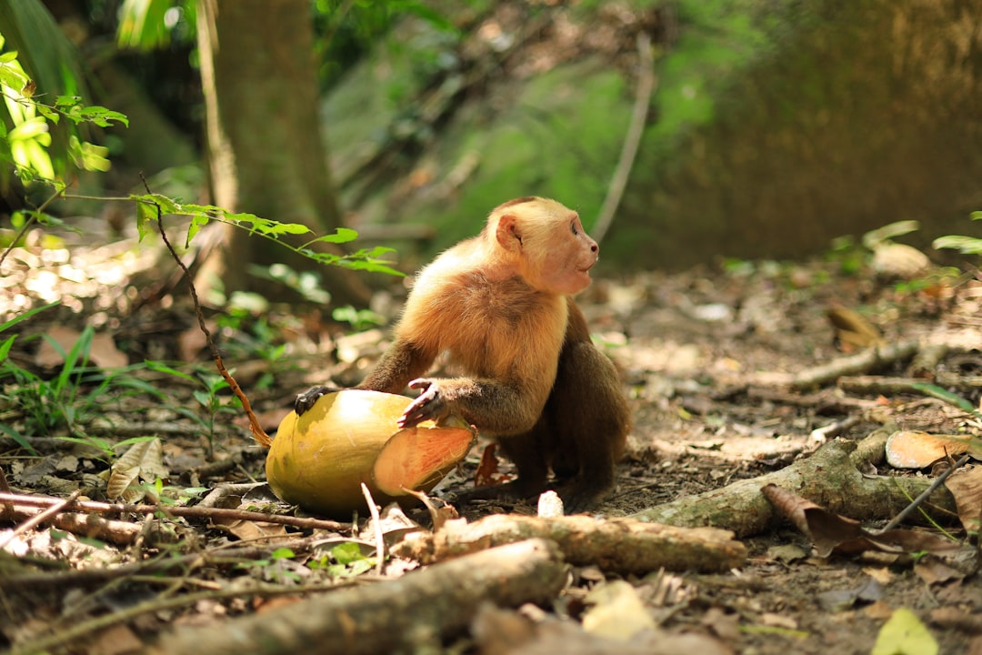nacimiento del rio magdalena