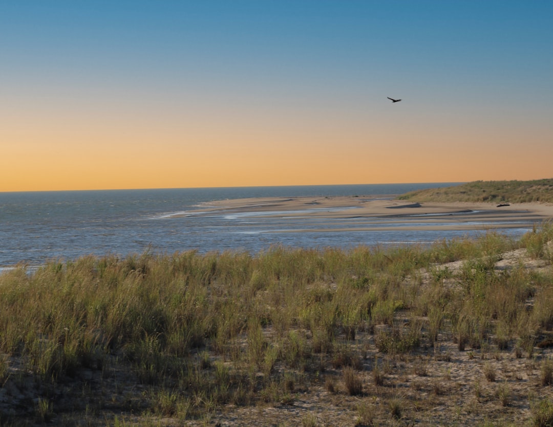 primera esposa de andrés cepeda