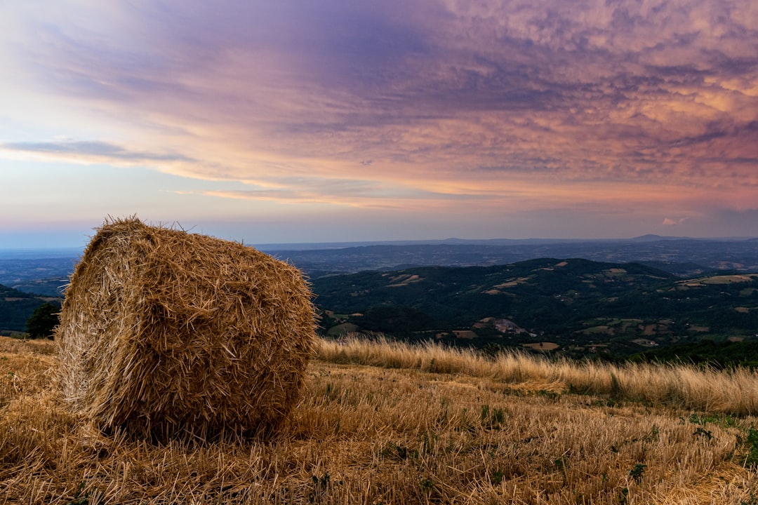 que altura hay en barranquilla