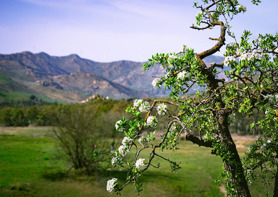que hacer en barranquilla