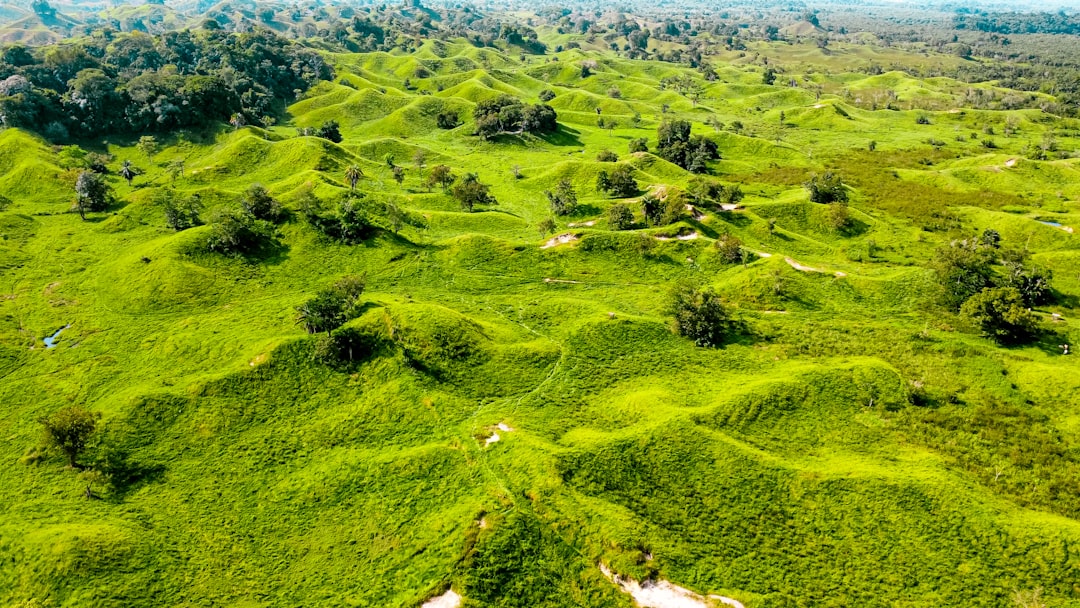 rio mas largo de colombia