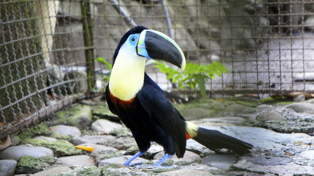 Los Mejores Negocios en Colombia: Oportunidades y Estrategias para Invertir