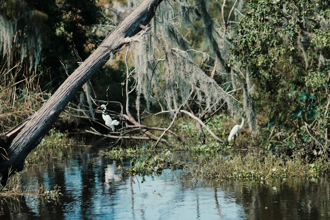 ¿Cuánto Cuesta la Entrada a Guatapé? Precios Actualizados y Tips para Tu Visita