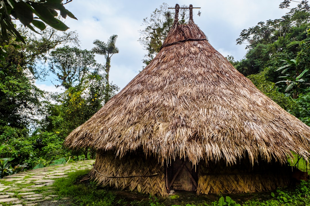 10 Datos Curiosos del Río Magdalena que No Conocías