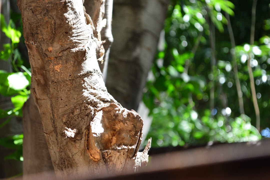 ¿Dónde Nace el Río Magdalena y Dónde se Desemboca? Todo lo que Necesitas Saber