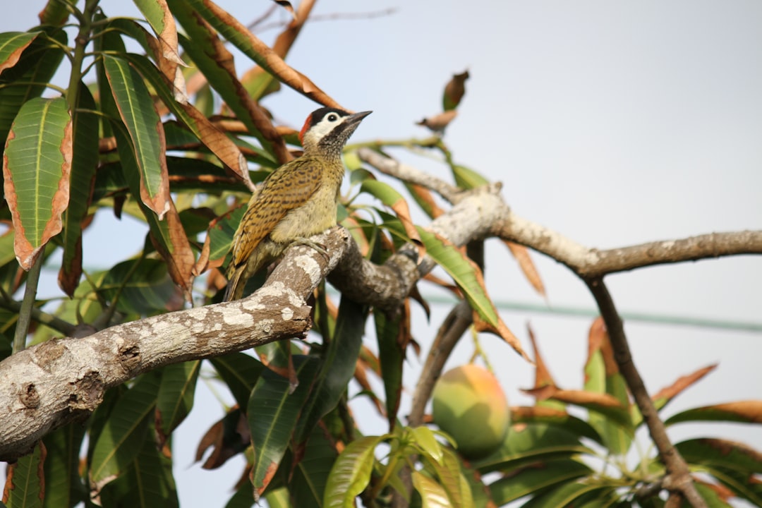 elevacion de barranquilla