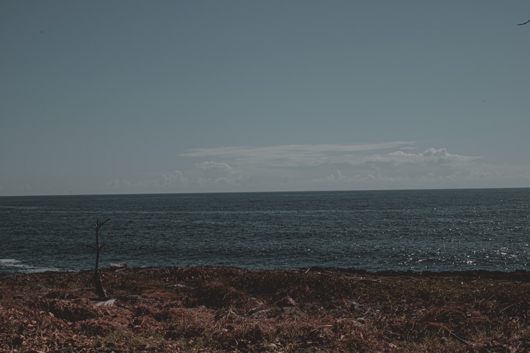 en qué país está el mar rojo