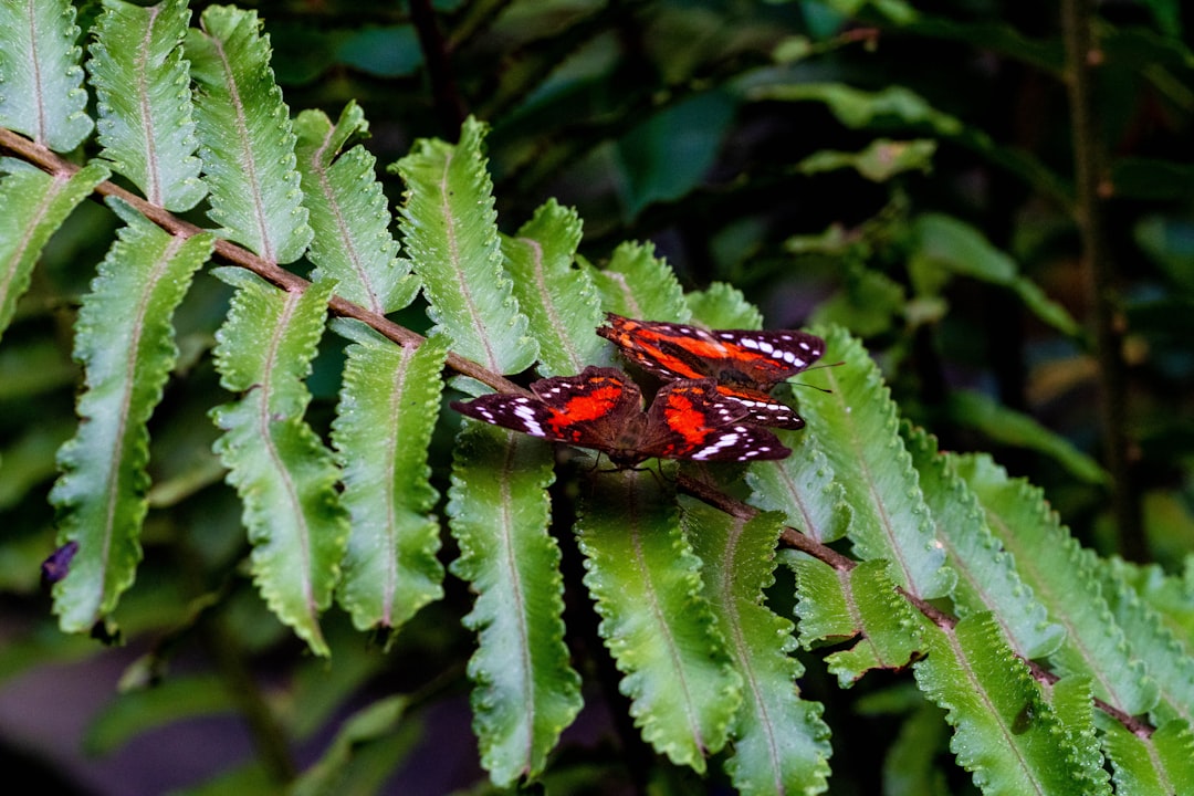 Gentrificación en Medellín: Impactos, Retos y Oportunidades en 2023