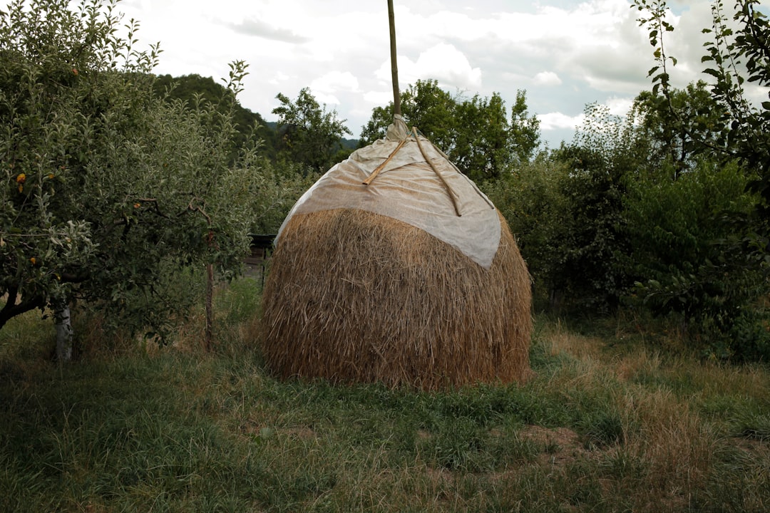 hay playas en medellin