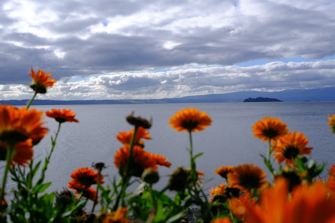 Temperatura en el Lago Titicaca: Clima y Mejor Época para Visitar
