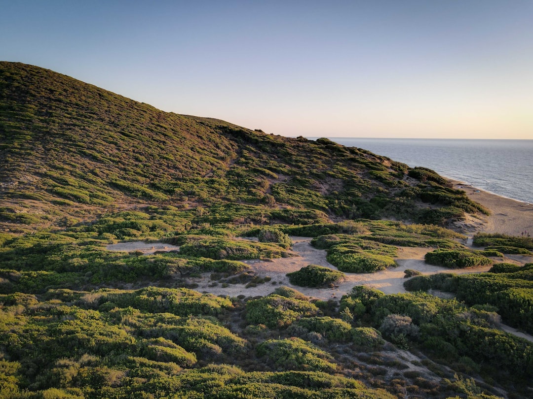 Murales Colombianos y su Significado: Un Viaje a Través del Arte y la Cultura