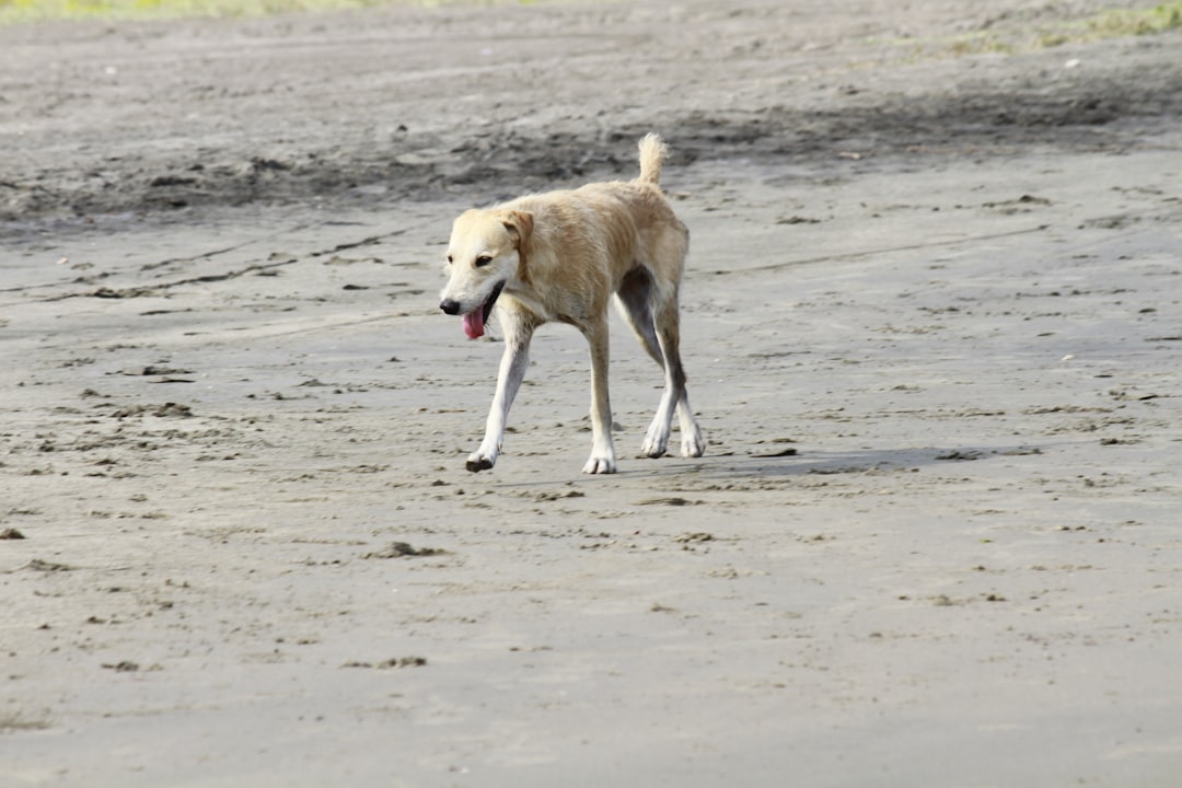 playas bonitas en barranquilla