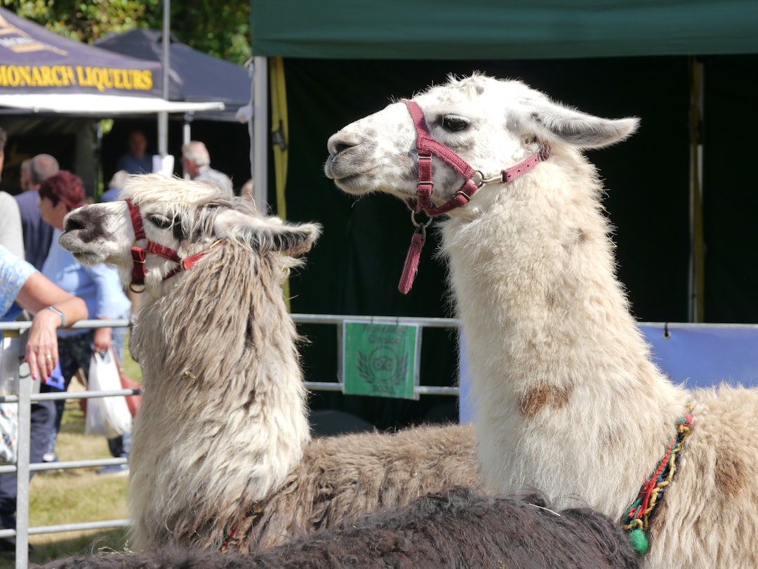 ¿Por Qué Se Le Llama Mar Rojo? Descubre Su Historia y Significado