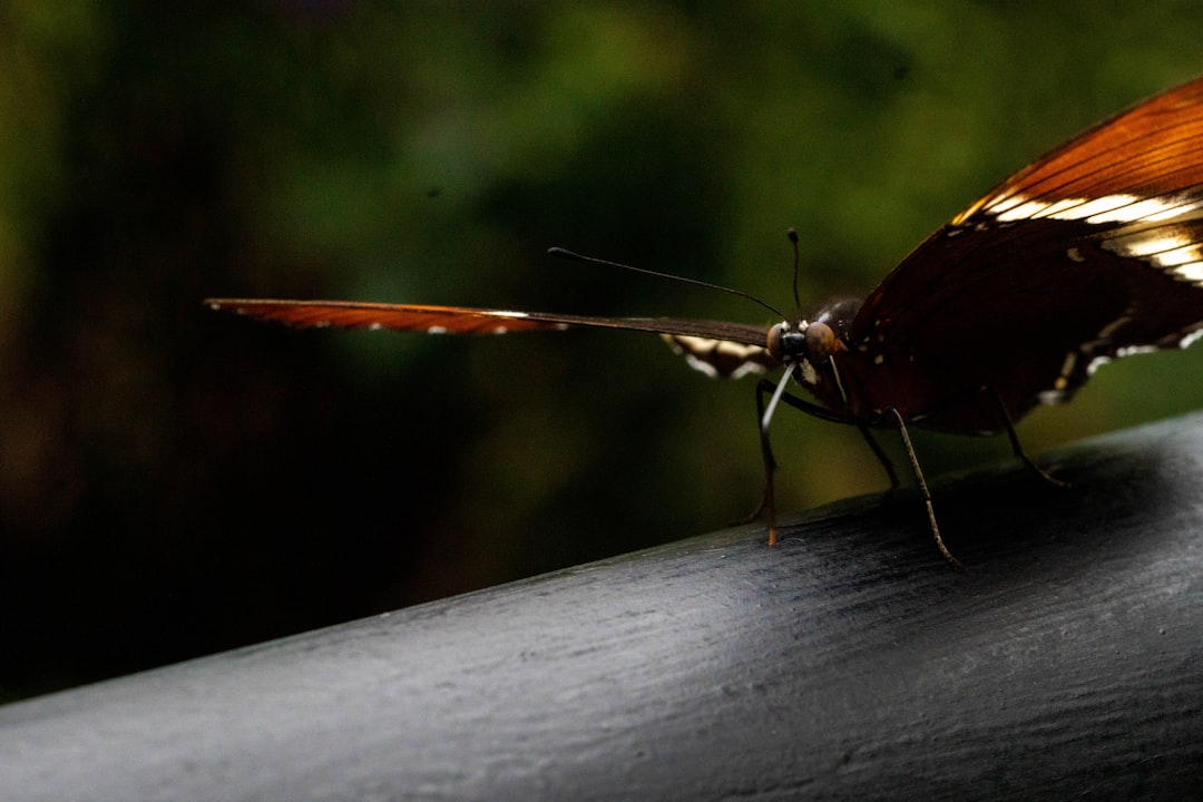 pueblos de clima frio en antioquia