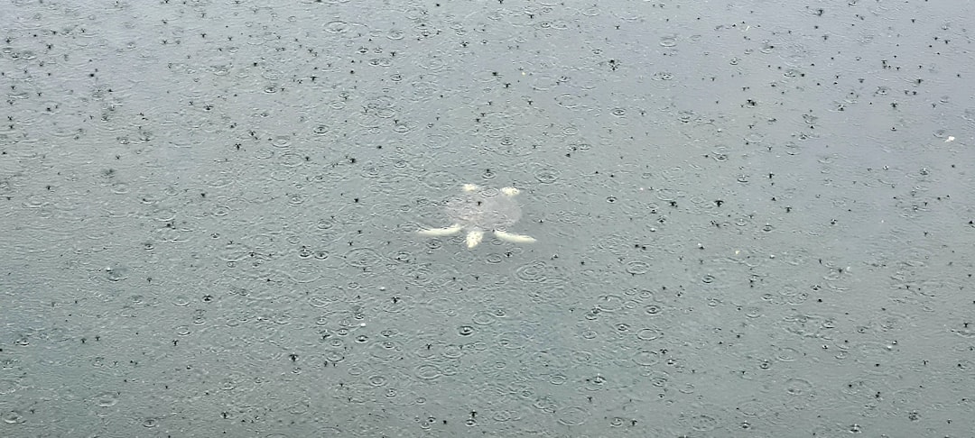 que es el mar muerto y porque se llama asi