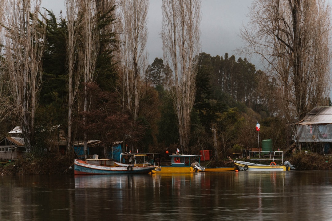 Descubre el Río Más Ancho: Maravillas Naturales y Curiosidades en Español